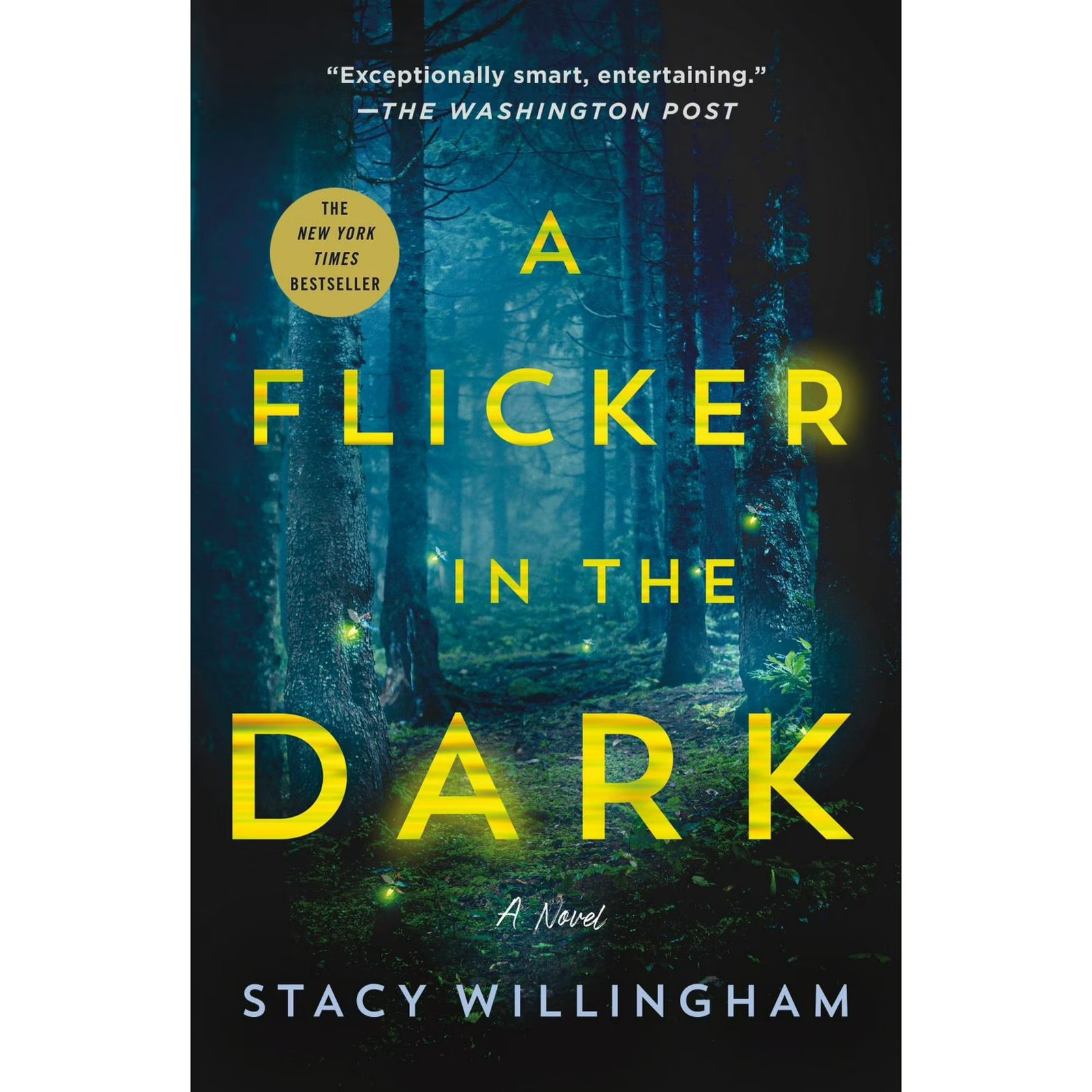 A Flicker in the Dark: A Novel (Paperback)