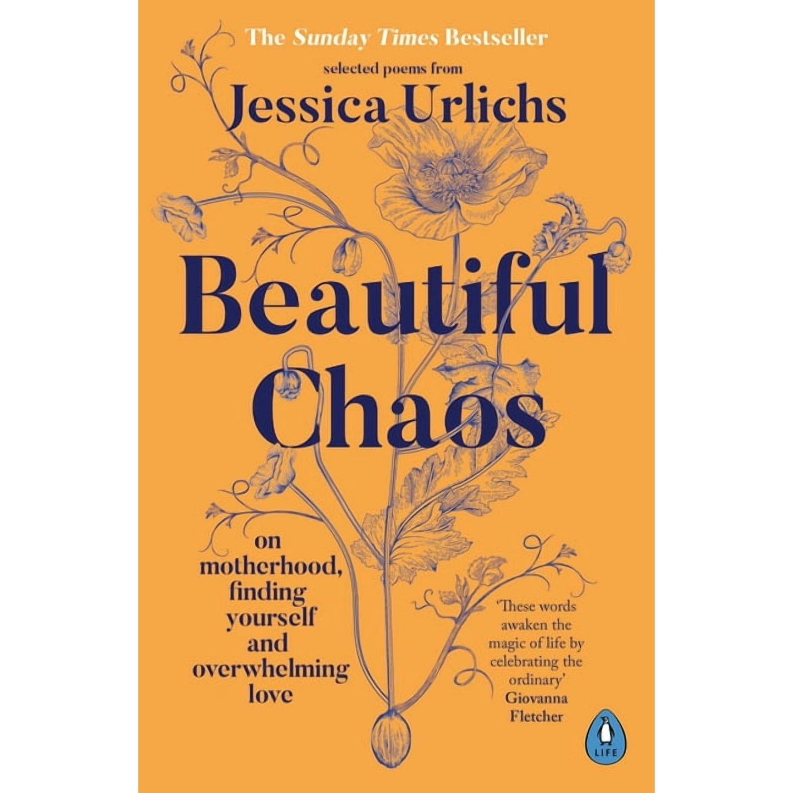 Beautiful Chaos : On Motherhood, Overwhelming Love and Finding Yourself (Paperback)