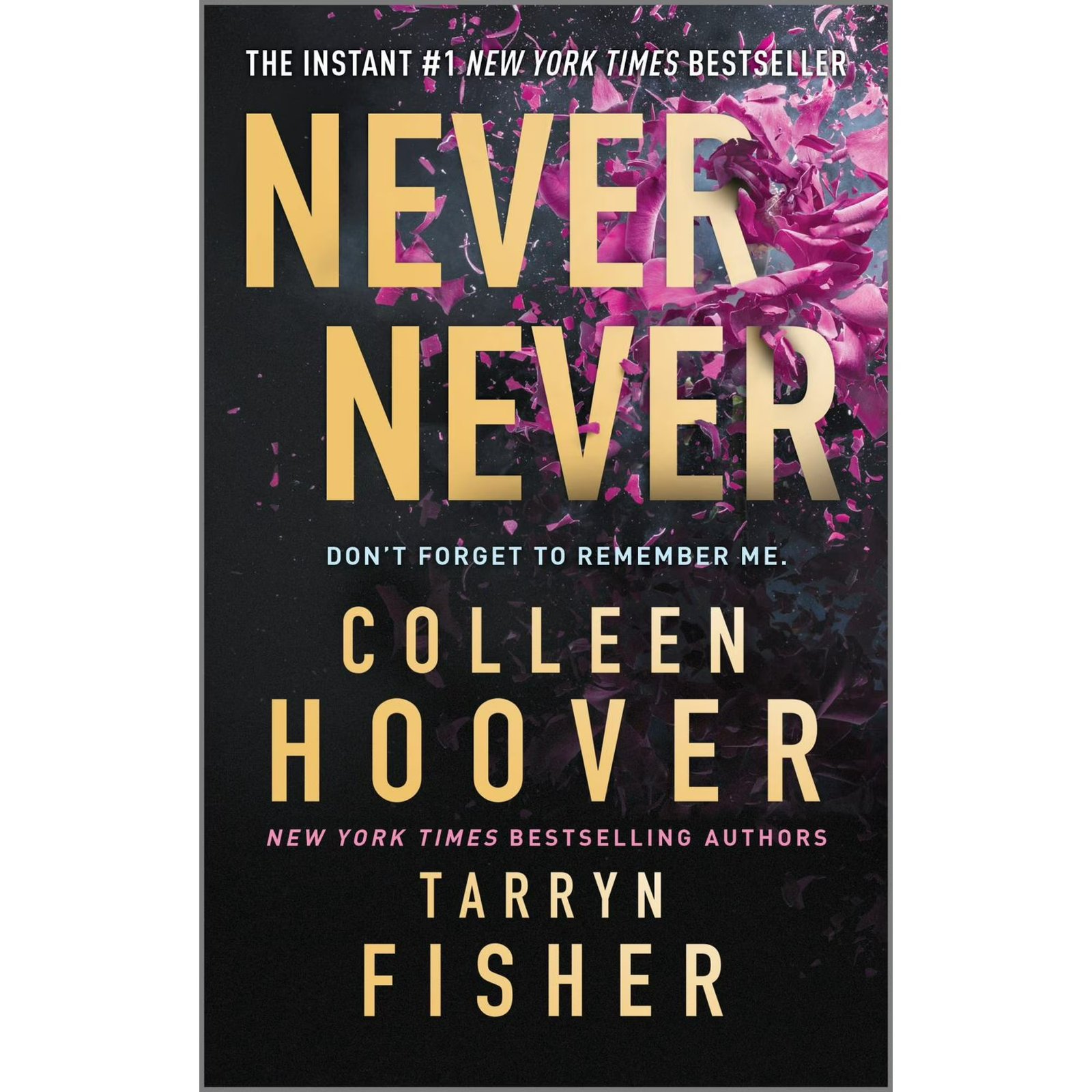 Never Never (Paperback)